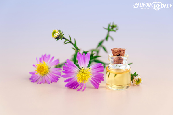 아로마마사지 ㅅㅂㅅ (7).jpg