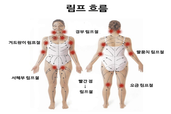이미지_80.png
