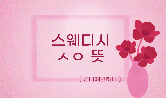 스웨디시 ㅅㅇ 무슨 뜻인가요? 이미지
