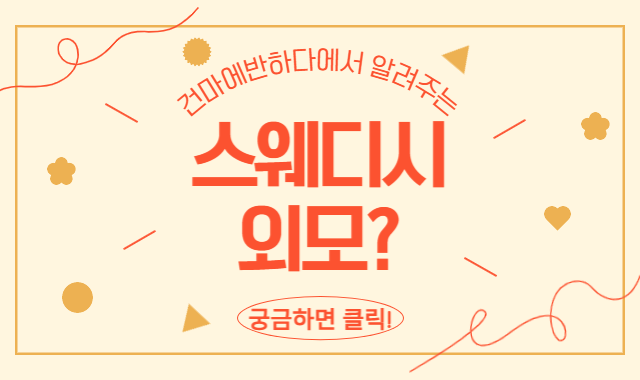 스웨디시 외모 궁금해요! 이미지