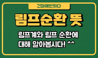 림프순환 뜻 어렵지 않아요! 이미지