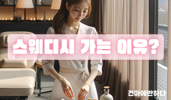 스웨디시 가는 이유 정확히 알려줄게! 이미지