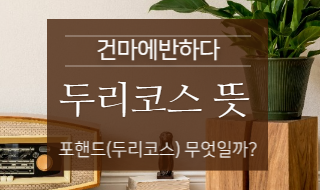 두리코스 뜻 알아보고 가세요! 이미지
