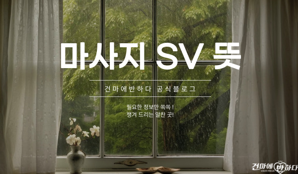 마사지 SV 뜻, 솔직하게 알려드릴게요! 이미지