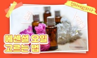 에센셜 오일 고르는 법 5개, 이것만 알자! 이미지