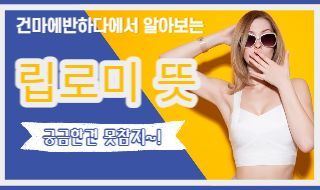 딥로미 뜻 알고 싶다면 드루와요! 이미지