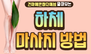 하체탈출을 위한 하체 마사지 방법! 이미지