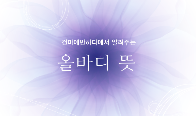 올바디 뜻에 대해 알아봐요! 이미지