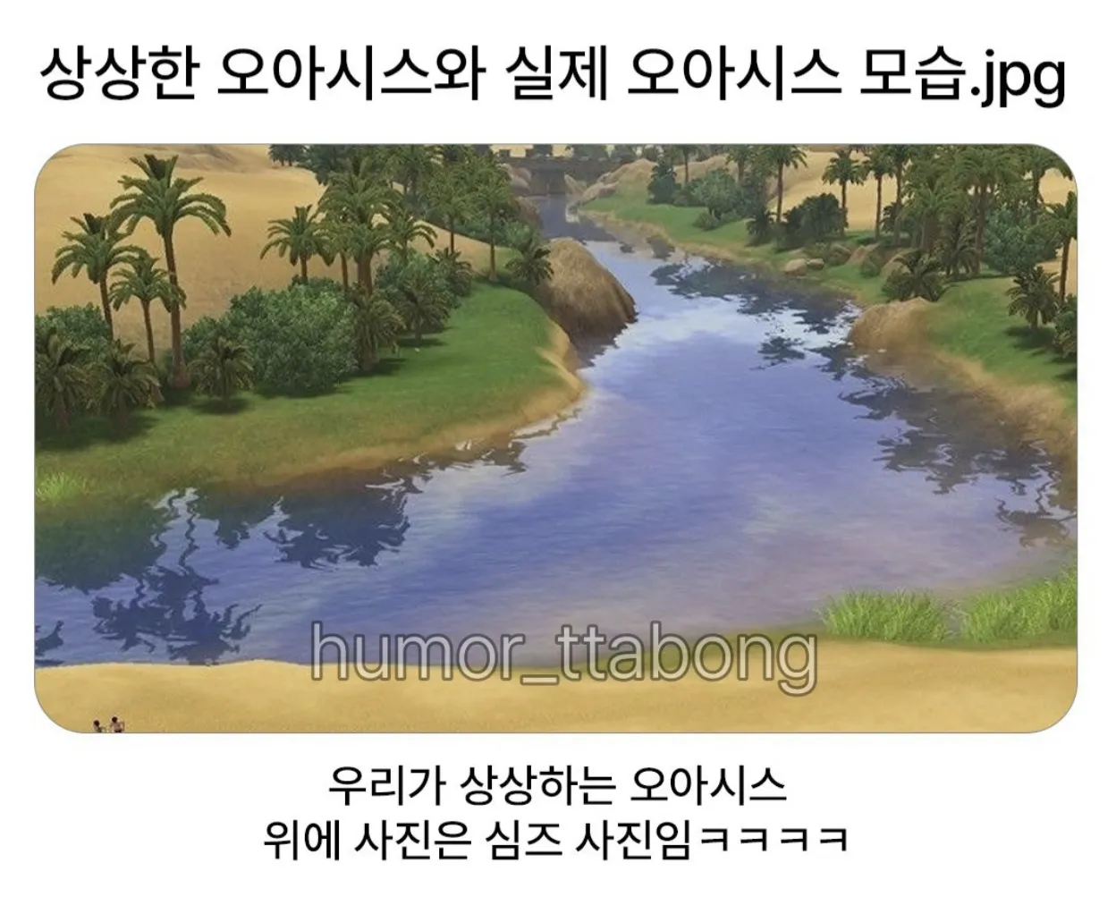 bt05a42202b478970c35e8bd0c84d17807.webp