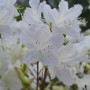 bt0d0ec361ffe951b419e8ebf2055dd6db.jpg
