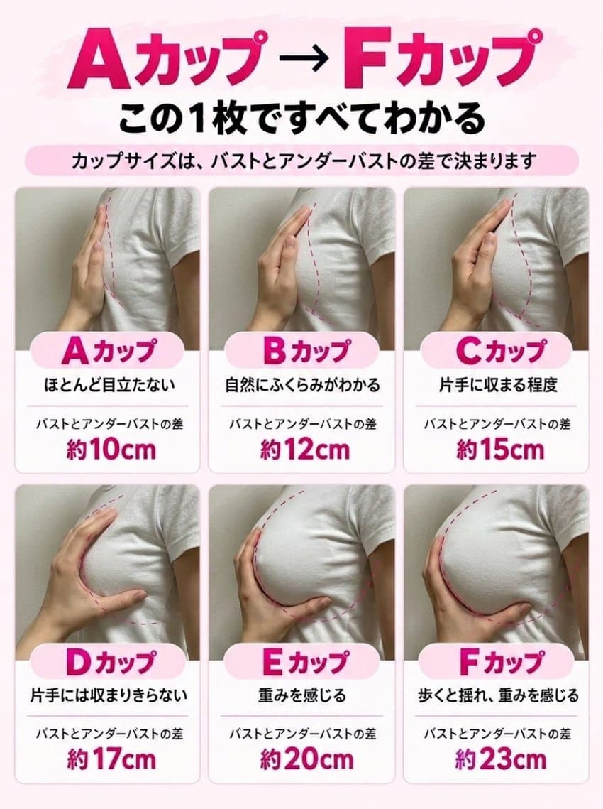 bt2af36d3fb858069099885a901077827e.jpg