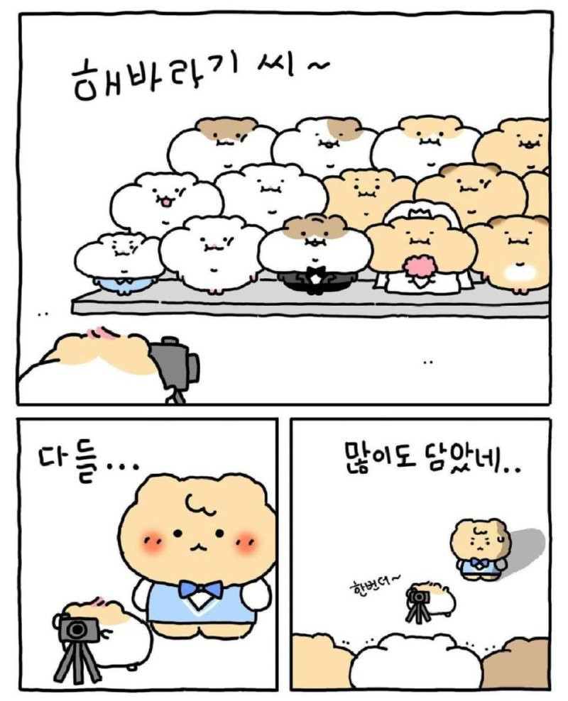 bt2c24ea60ab339a14d256a3e0f5ee0fd1.jpg