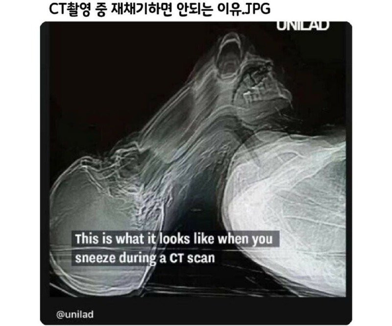 bt37234c4514e596562a984fdf6ee8c1af.jpg