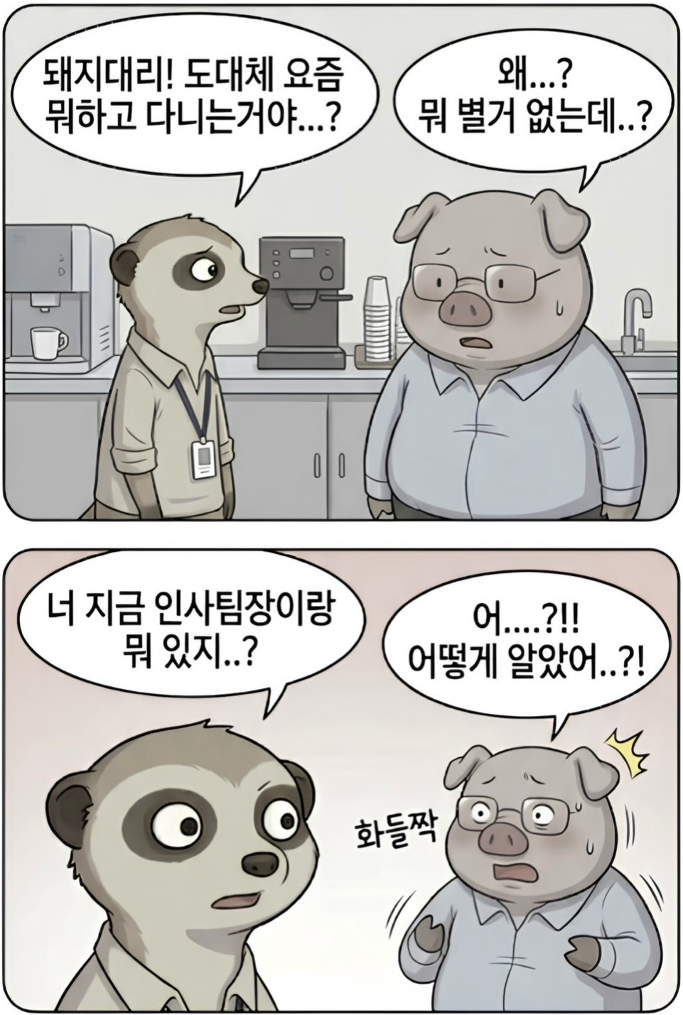bt3ae381e7848cdddce4fae73eabaccab4.jpg