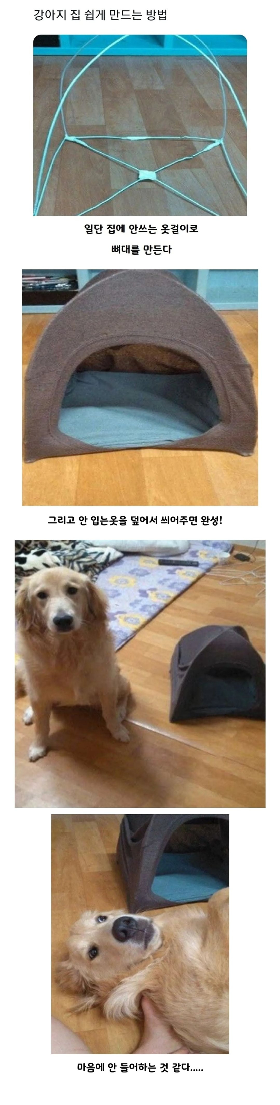 bt3d6b19a9e69875a7b107f5332fabe1dd.jpg