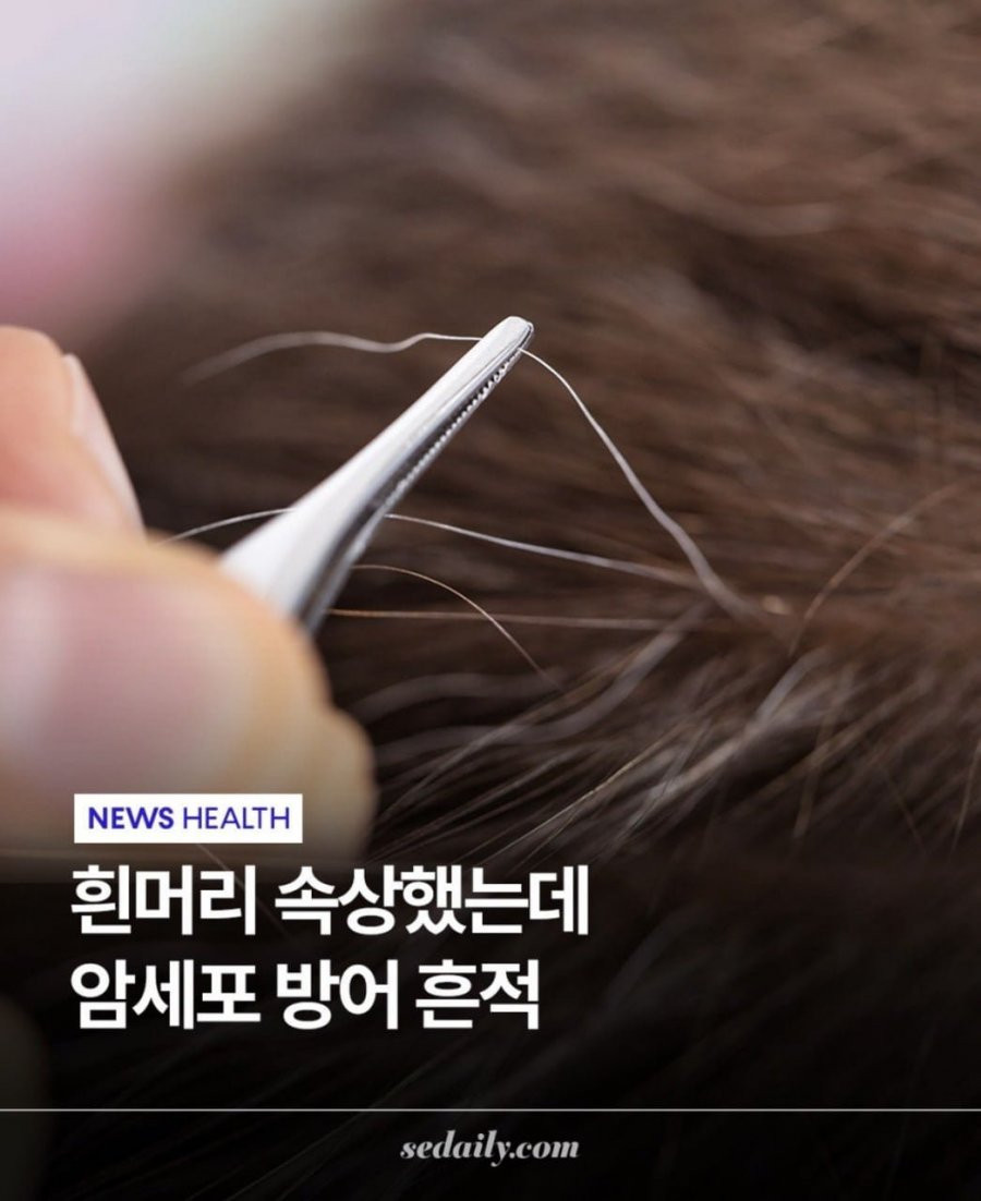 bt50962c5081390ccff78aeb8a0b9493a3.png
