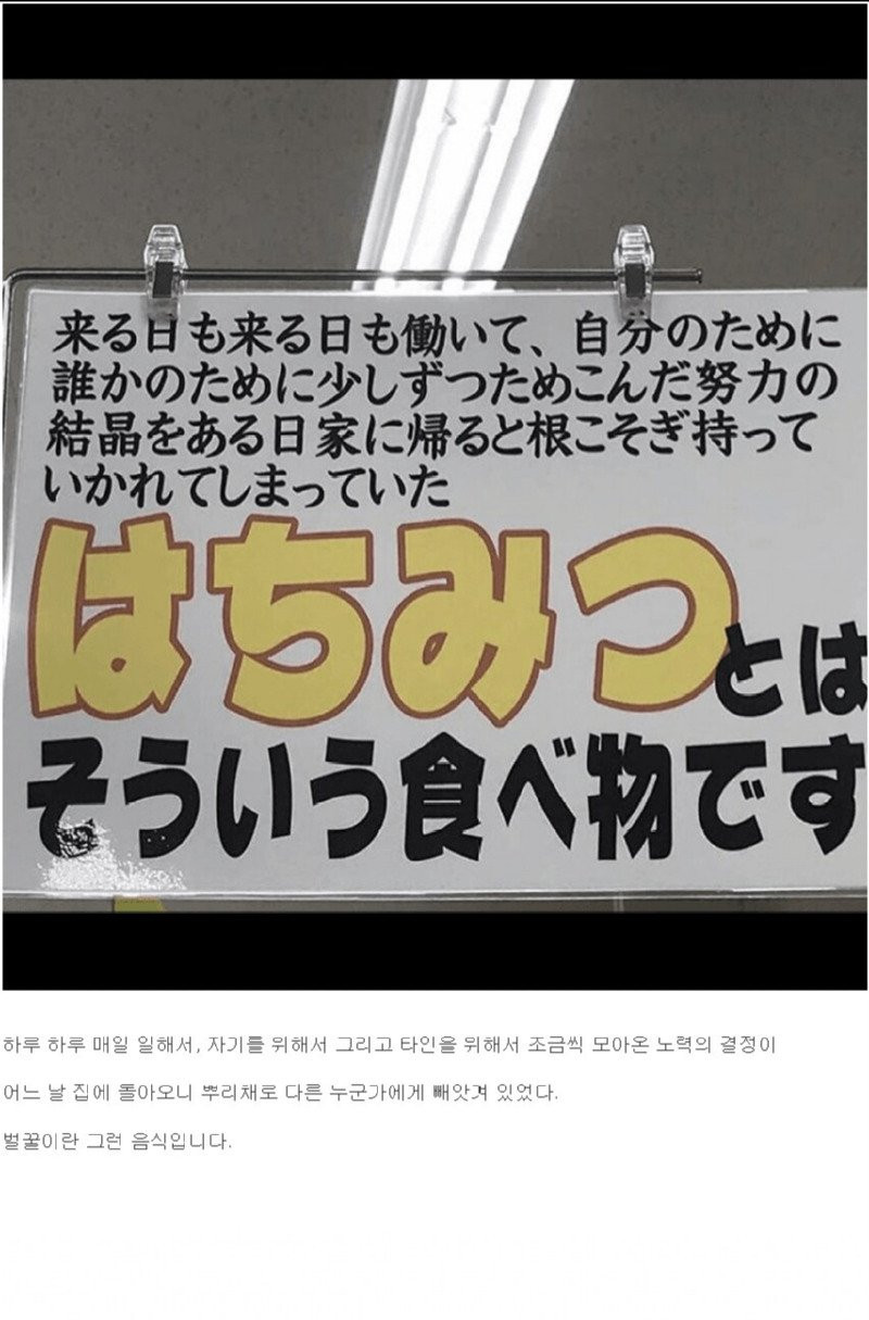 bt5194882da9dd50c833e30280d6cad4ac.jpg
