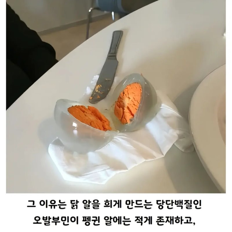 bt766cf449c85f88c9cc7cce546f0ae48c.png
