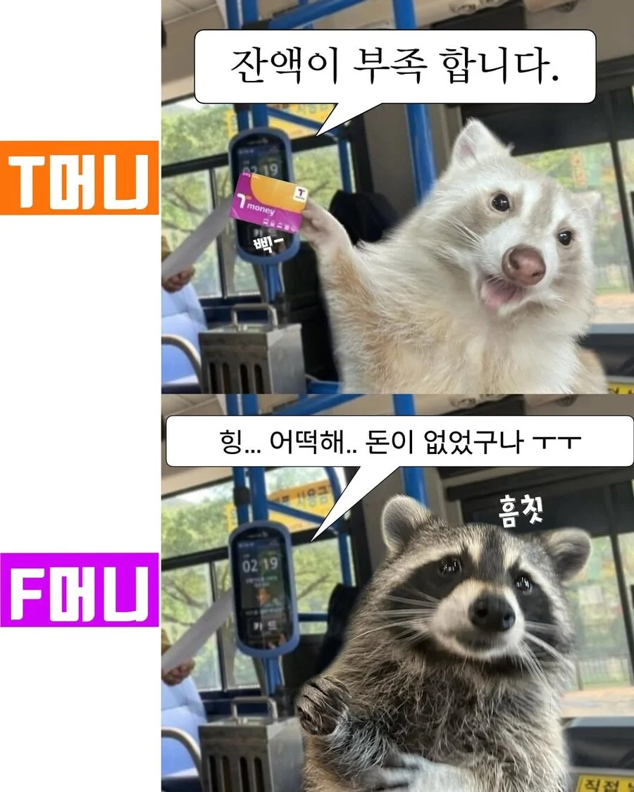 bt81942f82536e7f232f075b318c18dda5.webp