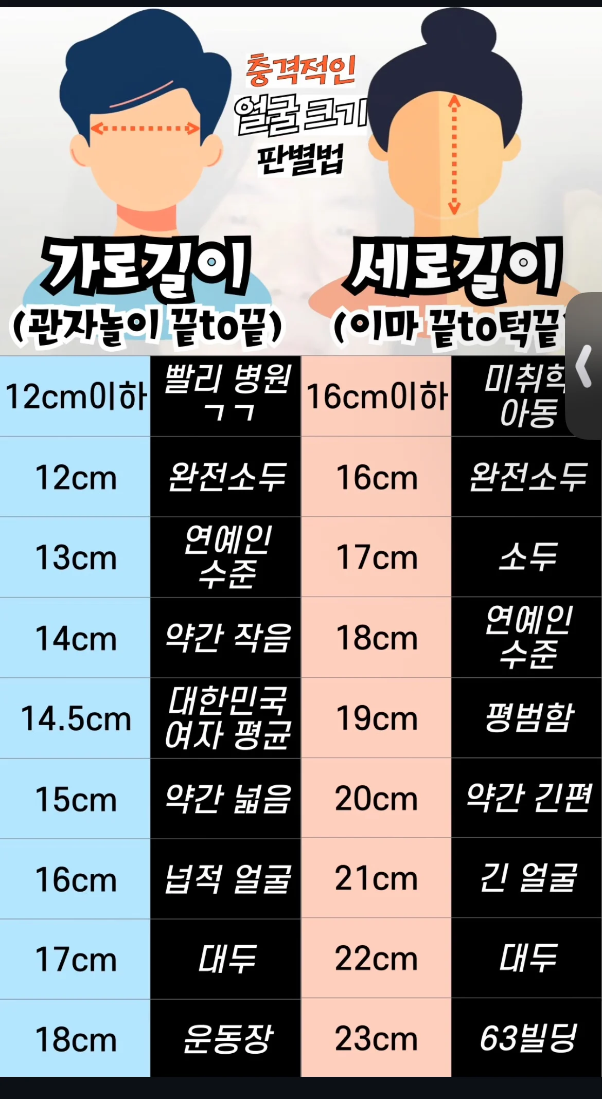 bt8282124b1782a676cbddb28a80261683.webp