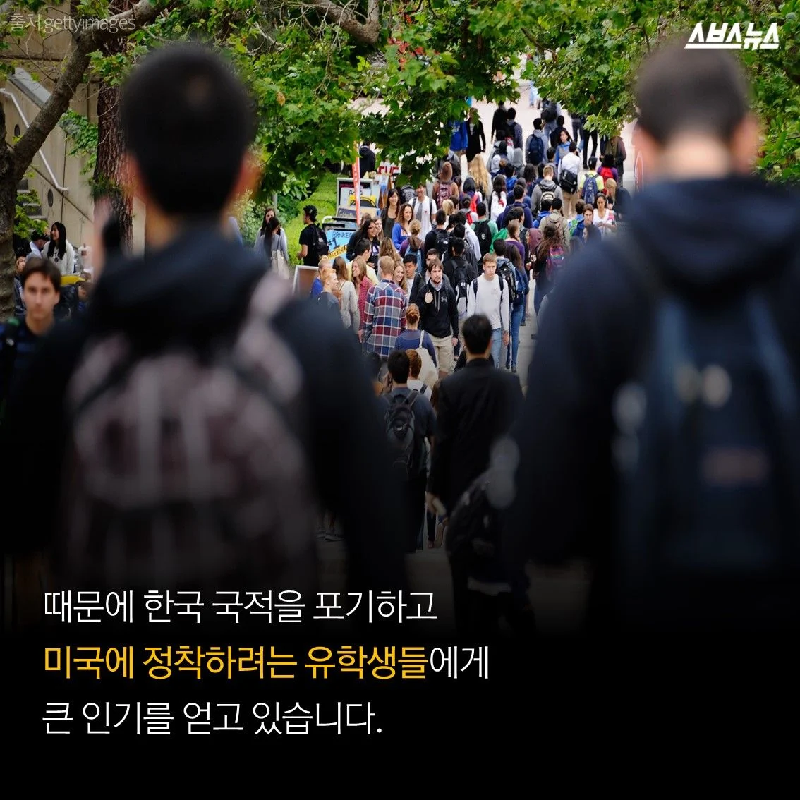 bt8eac7295f9bfe6148d19a8314f16194d.webp