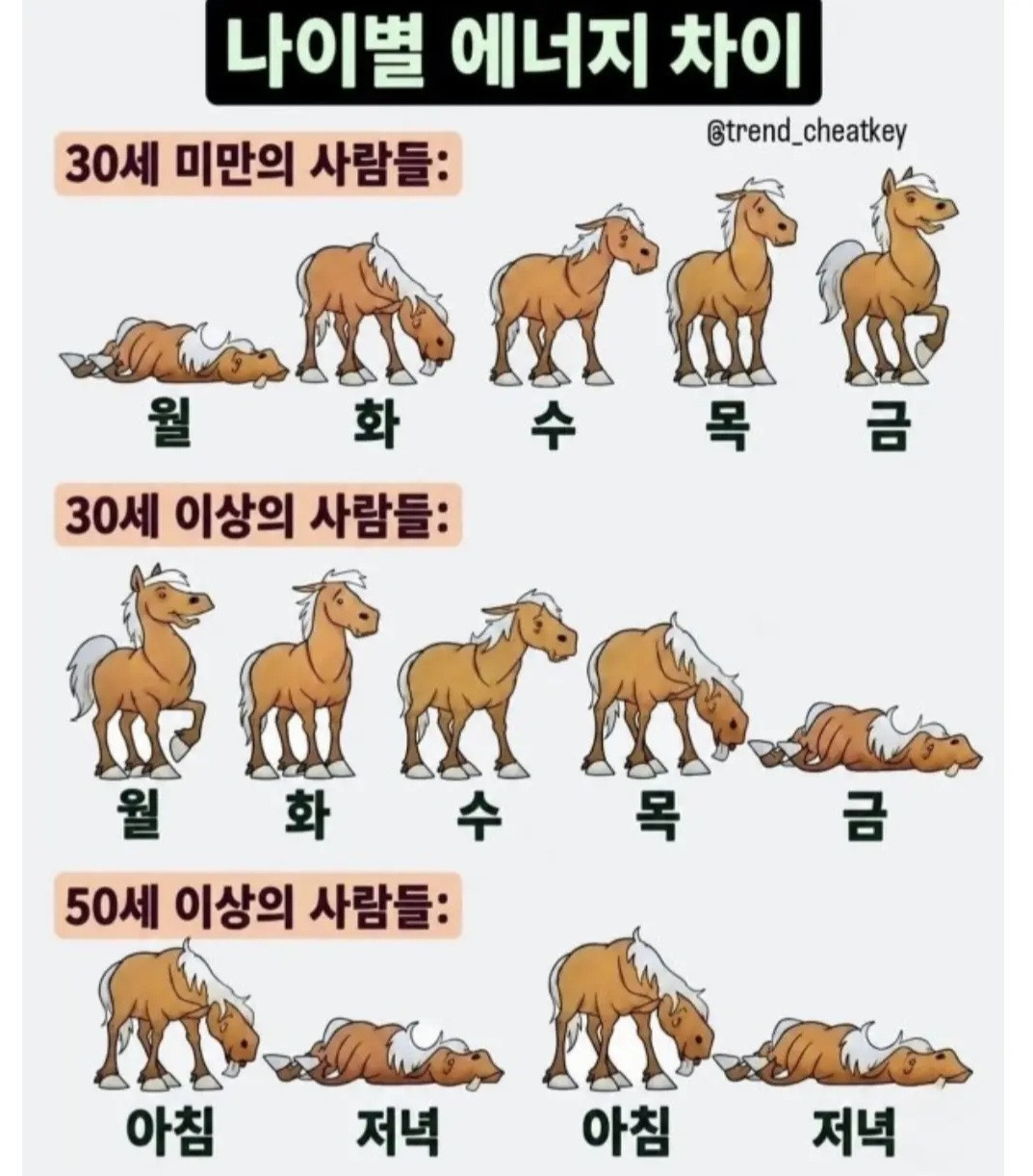 bt990db7d0de8cefa793f19a3e31554543.jpg