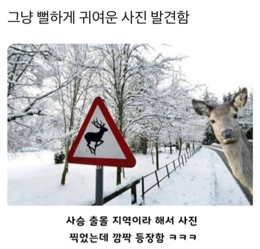 bta64346f97e2d33b05f0b0616cb4dfbcd.webp