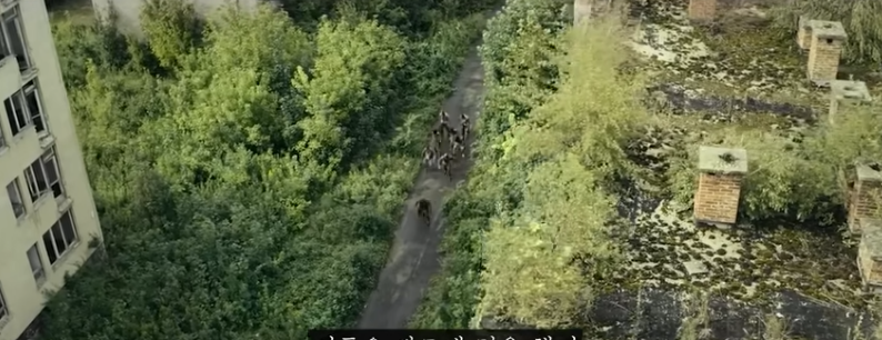 btaa8e48b66ac4d4c27e6d2d382e3ae7c0.png
