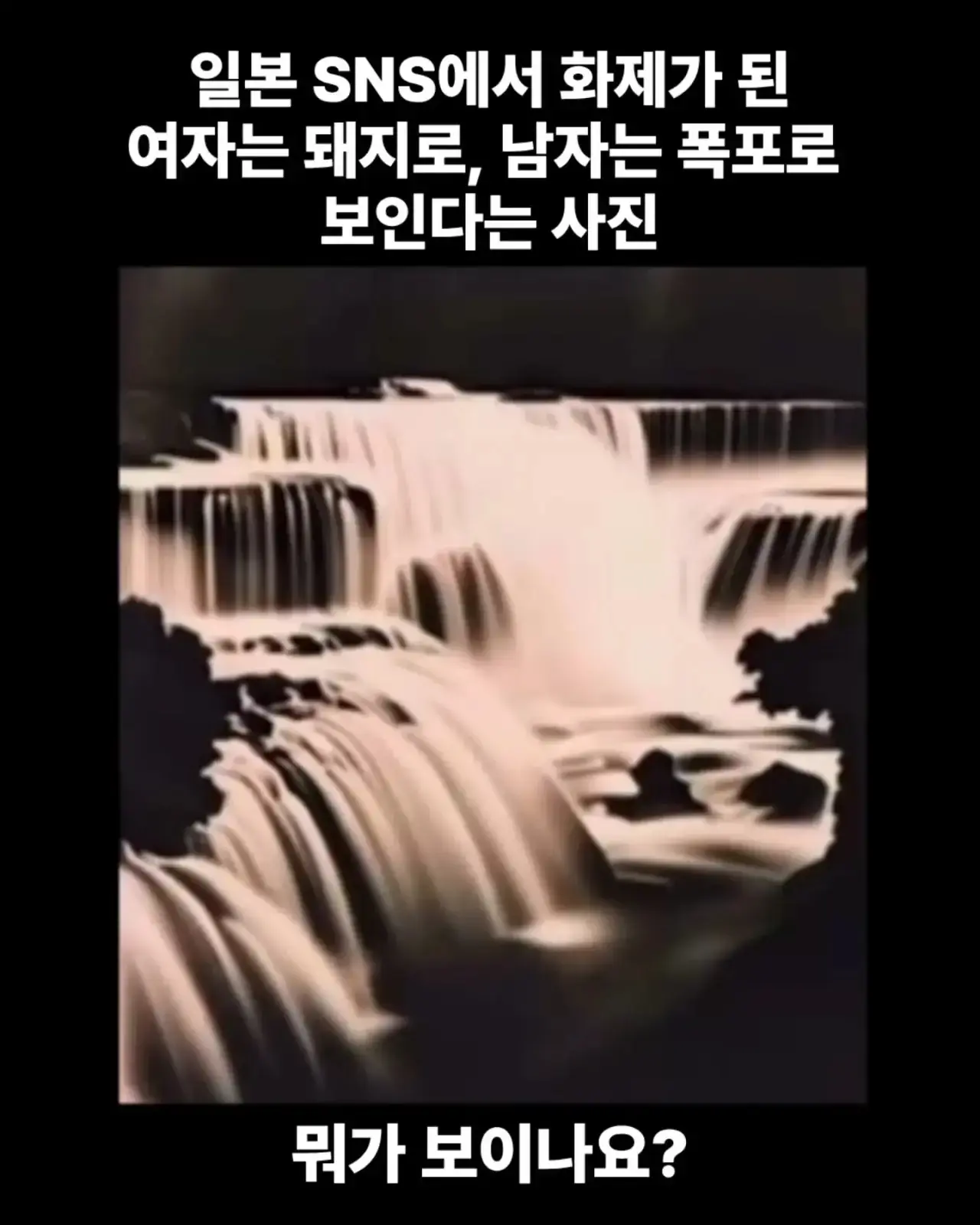 btad45ae0840eb48b1357408db213ee1f5.webp