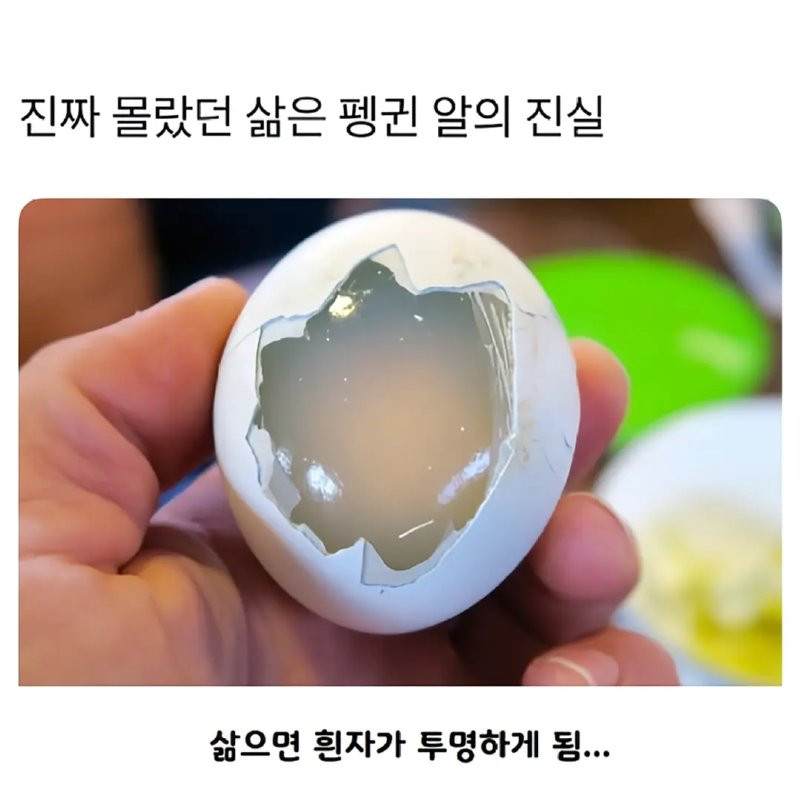 bte0be169c119a4d8ea8e9f2b319790c12.png