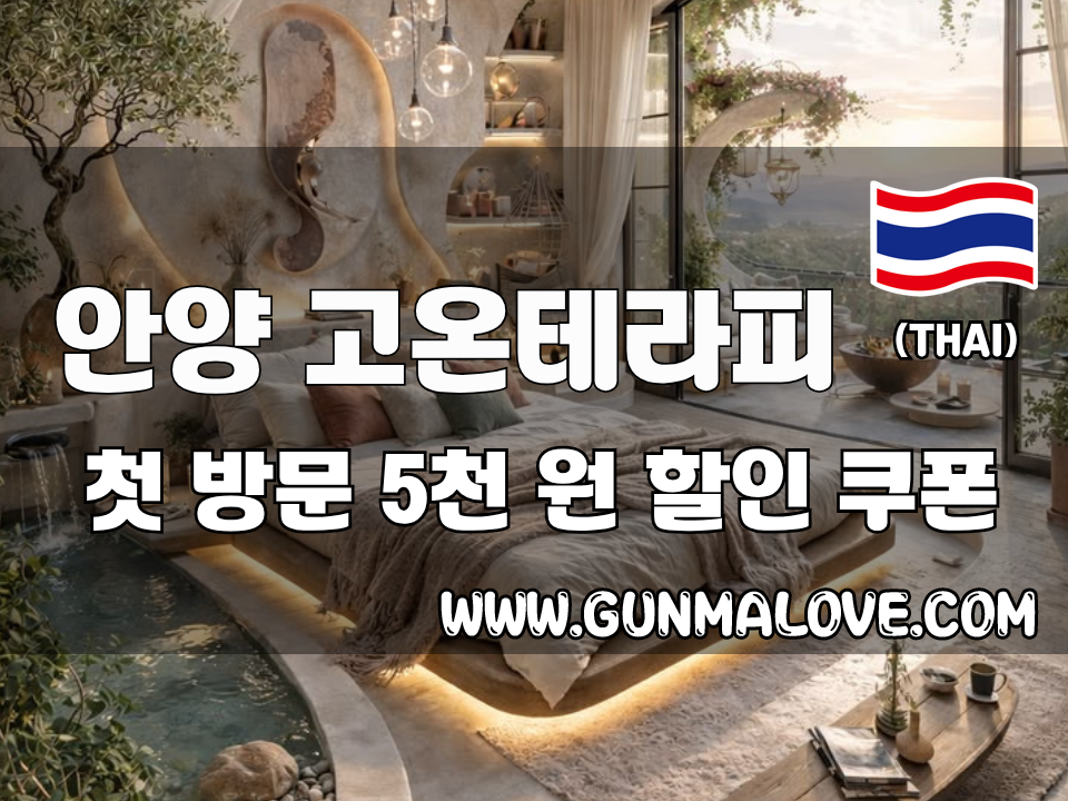 안양 평촌역 - 고온테라피 이미지
