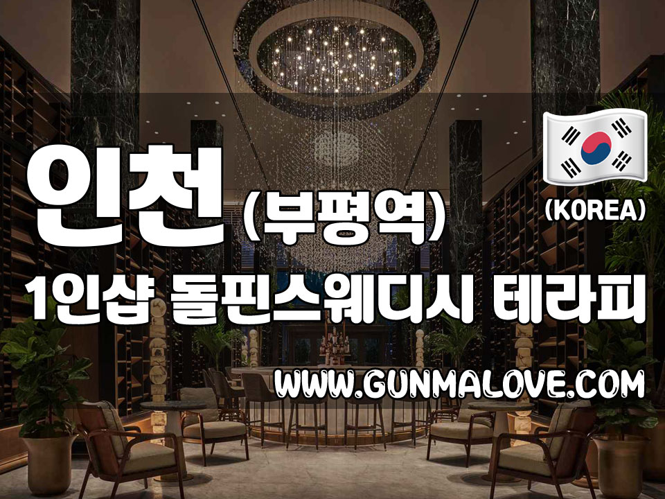 인천 부평역 - 돌핀스웨디시 이미지