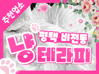 평택 비전동 [냥테라피] 이미지