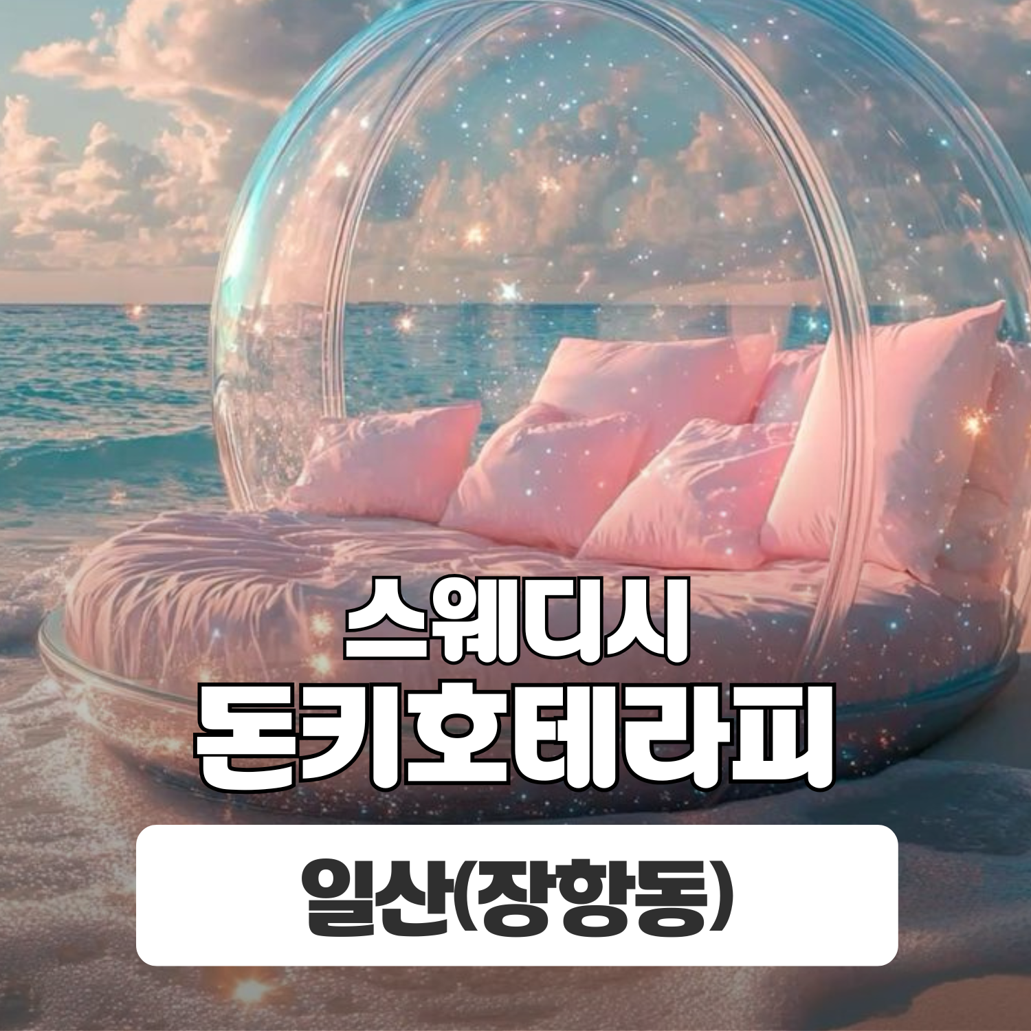 일산 장항동 [돈키호테라피] 이미지