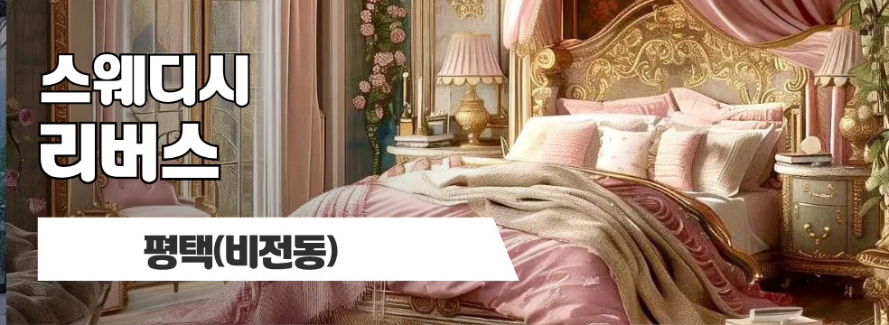평택 비전동 [리버스] 이미지