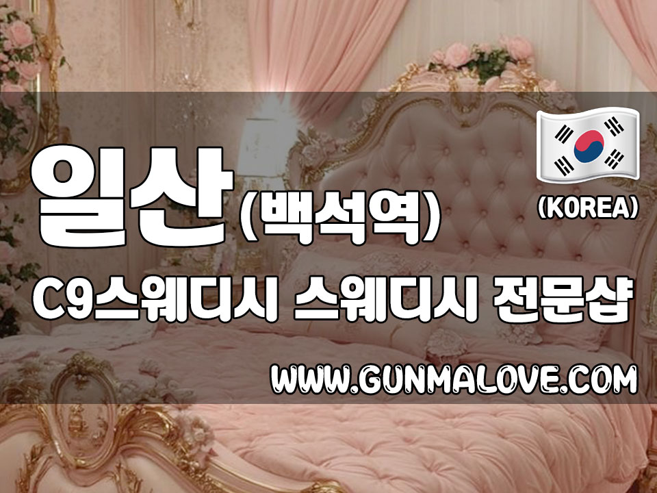 일산 백석역 [씨나인스웨디시] 이미지