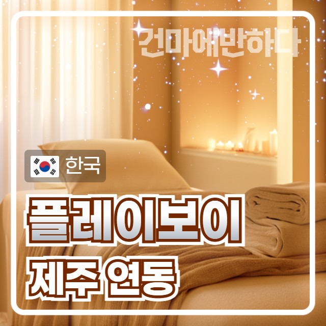 제주 연동 [플레이보이] 이미지