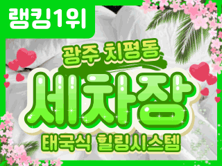 광주 치평동 [세차장] 이미지