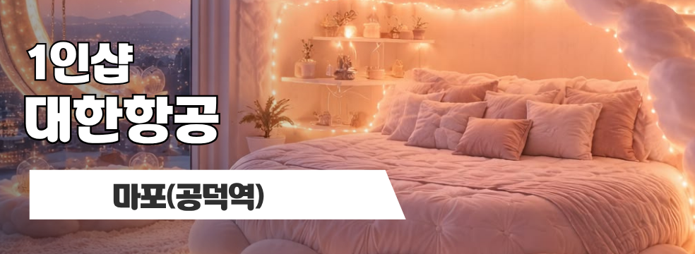 마포 공덕역 1인샵 [대한항공] 이미지