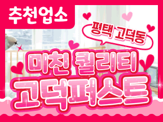 평택 고덕동 [고덕퍼스트] 이미지