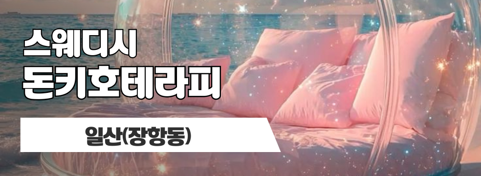 일산 장항동 [돈키호테라피] 이미지