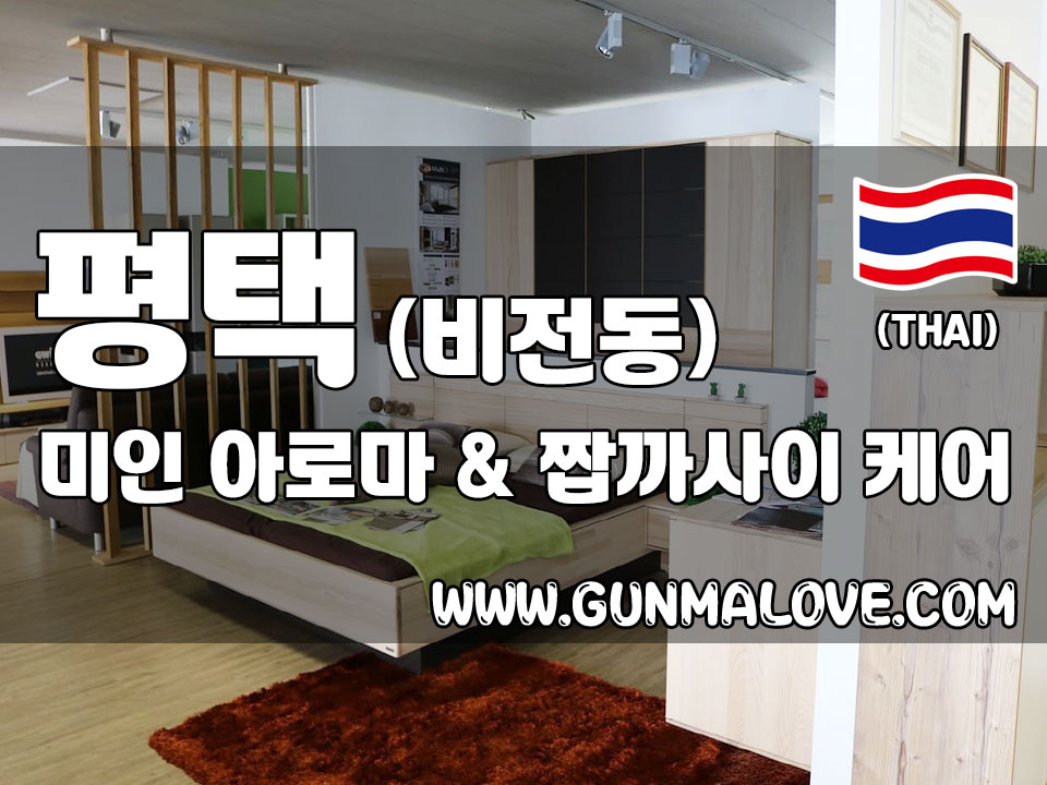 평택 비전동 [미인] 아로마 짭까사이 마사지 - 건마에반하다