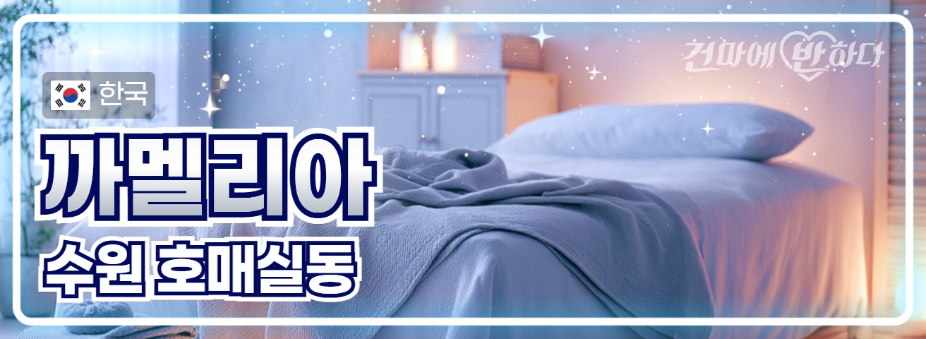 수원 호매실동 [까멜리아] 이미지
