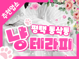 평택 동삭동 [냥테라피] 이미지