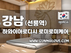 강남 선릉역 [하와이아로디시] 이미지