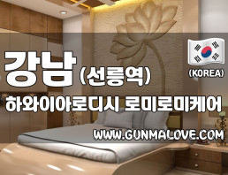 강남 선릉역 [하와이아로디시] 이미지