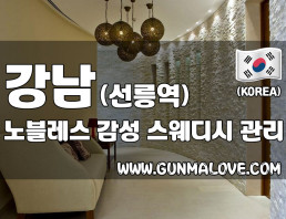 강남 선릉역 [노블레스] 이미지