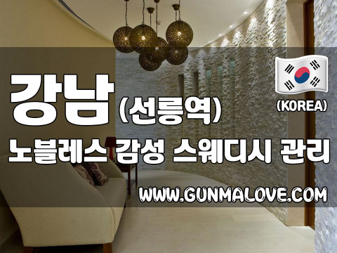 강남 선릉역 [노블레스] 이미지