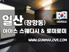 일산 장항동 [아이스] 이미지