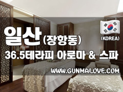 일산 장항동 [36.5테라피] 이미지